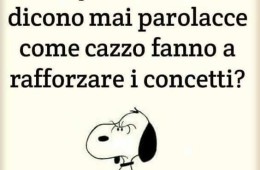 “Ma quelli che non dicono mai parolacce come cazzo fanno a rafforzare i concetti?”