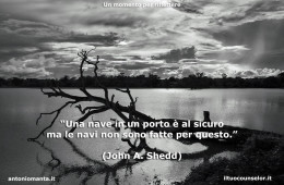 “Una nave in un porto è al sicuro ma le navi non sono fatte per questo.”  (John A. Shedd)