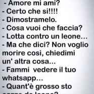 “Amore mi ami?” “Certo che si!!!” “Dimostramelo.” “Cosa vuoi che faccia?” “Lotta contro un leone…” “Ma che dici? Non voglio morire così, chiedimi un’altra cosa…” “Fammi vedere il tuo Whatsapp…” “Quant’è grosso sto cazzo de leone?…”