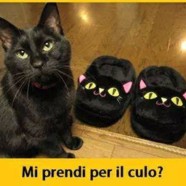 “Mi prendi per il culo?”