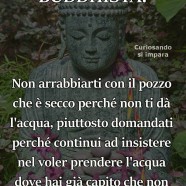 “Non arrabbiarti con il pozzo che è secco perché non ti da l’acqua, piuttosto domandati perché continui ad insistere nel voler prendere l’acqua dove hai già capito che non puoi trovarla.”