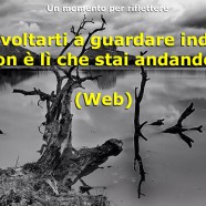 “Non voltarti a guardare indietro, non è lì che stai andando” (Web)