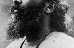 “Sii il primo ad aver fede nel tuo ideale, se desideri che gli altri credano in esso. Se non rispetti tu stesso il tuo ideale, gli altri non lo rispetteranno.” (Inayat Khan)