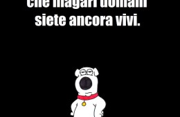 “E fatela una pazzia, che magari domani siete ancora vivi.” (Il cane irriverente)