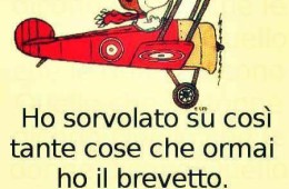 “Ho sorvolato su così tante cose che ormai ho il brevetto.” (Luilla)