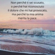 “Oggi ho deciso di perdonarti. Non perché ti sei scusato, o perché hai riconosciuto il dolore che mi hai provocato, ma perché la mia anima merita pace.” (Najwa Zebian)