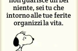 “Perché, vedi, il tempo non guarisce un bel niente, sei tu che intorno alle tue ferite organizzi la vita.” (Eva Cruciani)