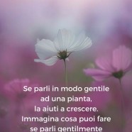 “Se parli in modo gentile ad una pianta, la aiuti a crescere. Immagina cosa puoi fare se parli gentilmente verso un altro essere umano.” (Cit.)