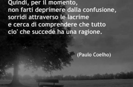 “Un bel giorno tutto avrà un senso. Quindi, per il momento, non farti deprimere dalla confusione, sorridi attraverso le lacrime e cerca di comprendere che tutto ciò che succede ha una ragione” (Paulo Coelho)