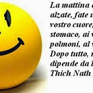 “La Mattina quando vi alzate, fate un sorriso al vostro cuore, al vostro stomaco, ai vostri polmoni, al vostro fegato. Dopo tutto, molto dipende da loro.” (Thich Nath Hanh)