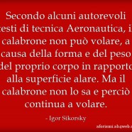 “Secondo alcuni autorevoli testi di tecnica Aeronautica, il calabrone non può volare, a causa della forma e del peso del proprio corpo in rapporto alla superficie alare. Ma il calabrone non lo sa e perciò continua a volare.” (Igor Sikorsky)