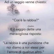 Ad un saggio venne chiesto: “Cos’è la rabbia?” E il saggio dette una meravigliosa risposta: “La rabbia è una punizione che noi diamo a noi stessi per l’errore di qualcun altro.”