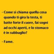 “Come si chiama quella cosa quando ti gira la testa, ti batte forte il cuore, fai sogni ad occhi aperti, e lo stomaco è in subbuglio?” – “Fame”